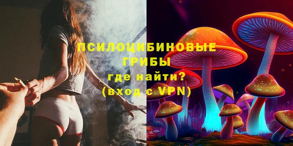 марки nbome Вяземский