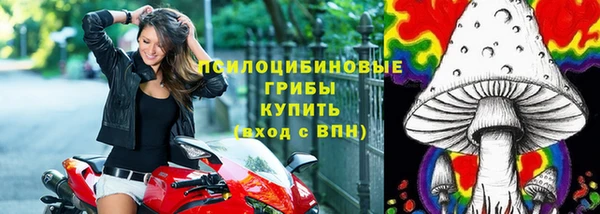 марки nbome Вяземский